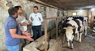 MANİSALI BESİCİ CHP’Lİ BAŞEVİRGEN’E DERT YANDI