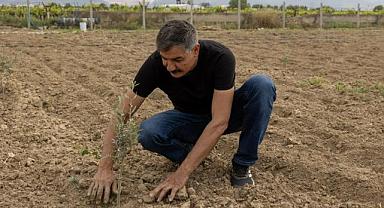 YUNUSEMRE’NİN DAĞITTIĞI FİDANLAR TOPRAKLA BULUŞUYOR