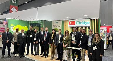 Avustralya’ya zeytin ve zeytinyağı ihracatında rekor artış