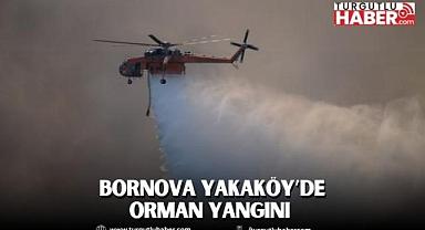 İZMİR’İN BORNOVA YAKAKÖY MAHALLESİNDE ORMAN YANGINı