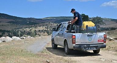 Köprübaşı’nda Çekirge İstilasına Karşı Mücadele