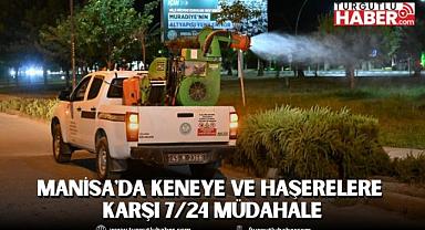 Manisa'da Keneye ve Haşerelere Karşı 7/24 Müdahale
