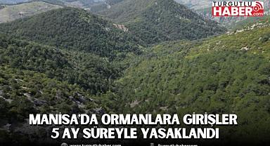 MANİSA'DA ORMANLARA GİRİŞLER 5 AY SÜREYLE YASAKLANDI