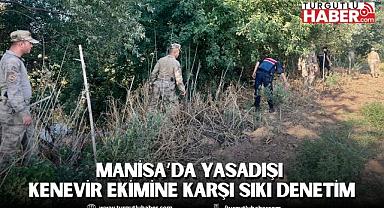 Manisa’da Yasadışı Kenevir Ekimine Karşı Havadan ve Karadan Sıkı Denetim