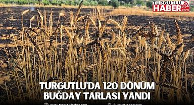 Turgutlu'da tarım arazisinde çıkan yangın söndürüldü