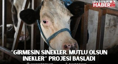 “Girmesin Sinekler, Mutlu Olsun İnekler” Projesi Başladı