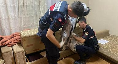 Manisa'da Ruhsatsız Silah Operasyonu: 7 Tabanca ve 8 Av Tüfeği Ele Geçirildi