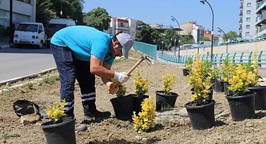 Turgutlu Belediyesi Park ve Bahçeler Müdürlüğü Ekipleri Şehri Güzelleştiriyor