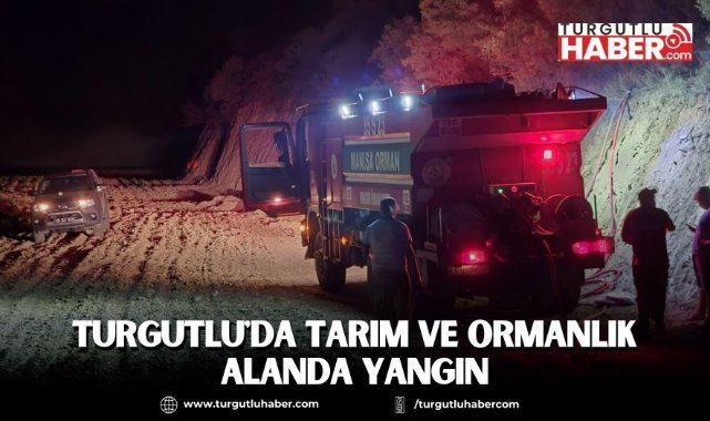 Turgutlu'da tarım ve ormanlık alanda yangın