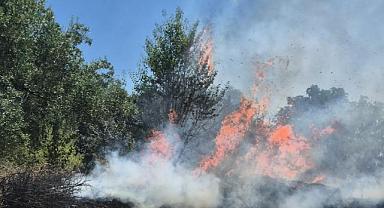 Turgutlu'nun Dalbahçe Mahallesi'nde Orman Yangını