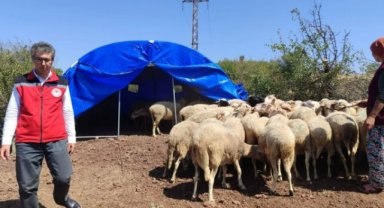 Balıkesir-Sındırgı depreminde Akhisar’da ahır zarar gördü