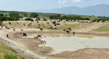 Başkan Besim Dutlulu: Manisa’da Gölet Sayısını Artırıyoruz
