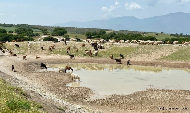 Başkan Besim Dutlulu: Manisa’da Gölet Sayısını Artırıyoruz