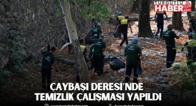 Çaybaşı Deresi’nde temizlik çalışması yapıldı