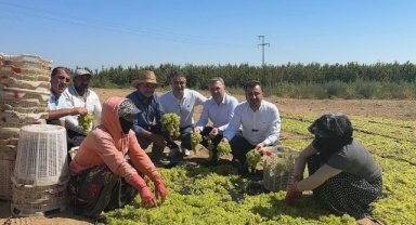 CHP'li Başevirgen Turgutlu'da Üzüm Üreticisinin Sesini Duyurdu
