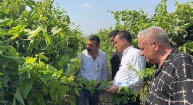 CHP'li Bekir Başevirgen, Üzüm Üreticilerinin Sorunlarını Dinledi