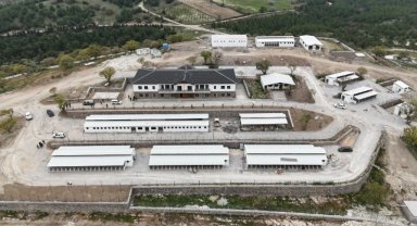 Manisa'da sahipsiz hayvanlara yönelik doğal yaşam alanları denetlendi