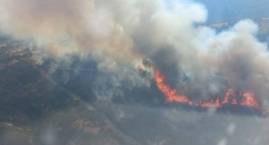 Manisa’nın Şehzadeler İlçesinde Orman Yangınına Hızlı Müdahale