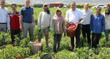 Mehmet Karayılan, Gölmarmara’da kapya biber hasadına katıldı