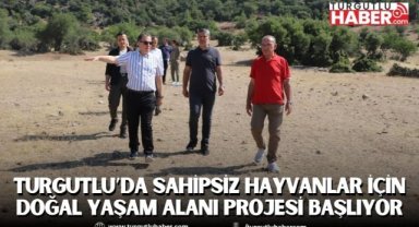 Turgutlu’da Sahipsiz Hayvanlar İçin Doğal Yaşam Alanı Projesi Başlıyor