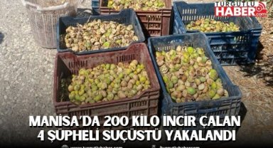 Manisa’da 200 kilo incir çalan 4 şüpheli suçüstü yakalandı