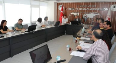 Manisa’da 2025-2026 Zeytin Rekolte Tahmin Çalışmaları Tamamlandı