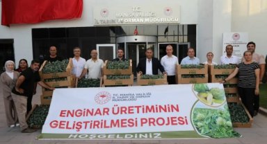 Manisa’da Enginar Üretimine Yeni Destek: Münavebe Planlarında Alternatif Üretim Güçleniyor