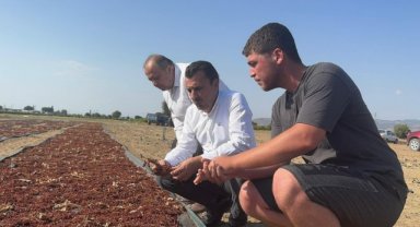 Manisa’da üzüm üreticilerinden CHP’li Başevirgen’e dert yandı