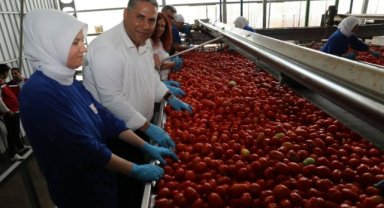 Manisa İl Tarım Müdürü Karayılan'dan salça üretim tesisine ziyaret