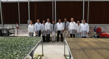 Manisa Tarım ve Orman Müdürü Karayılan, Alaşehir’de Fide İşletmesini Ziyaret Etti