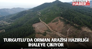 Turgutlu'da Orman Arazisi Hazırlığı İhaleye Çıkıyor
