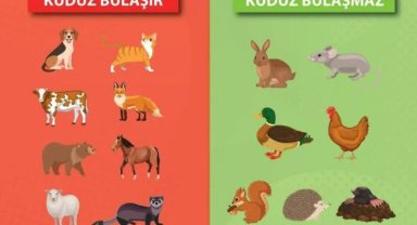 Turgutlu İlçe Sağlık Müdürlüğü’nden Kuduz Uyarısı
