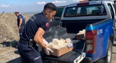Manisa Büyükşehir Zabıtası Bozuk Peynir Satışına Geçit Vermedi