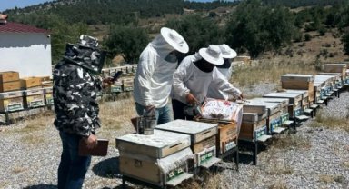 Manisa’da Arılı Kovan Desteklemeleri için tespit çalışmaları sürüyor