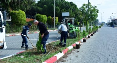 Şehzadeler Belediyesi’nden yeşil seferberliği