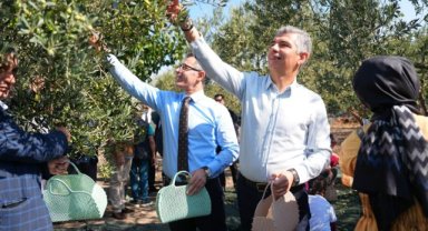 Soma’da Zeytin Hasadı Şenliği Renkli Görüntülere Sahne Oldu