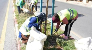 Soma’nın yolları kadın emeğiyle çiçek açıyor