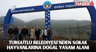 Turgutlu Belediyesi’nden Sokak Hayvanlarına Doğal Yaşam Alanı