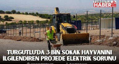 Turgutlu'da 3 Bin Sokak Hayvanını İlgilendiren Projede Elektrik Sorunu