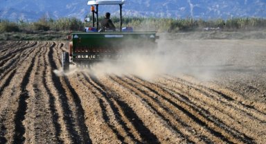 Salihli Belediyesi buğday ekimine başladı