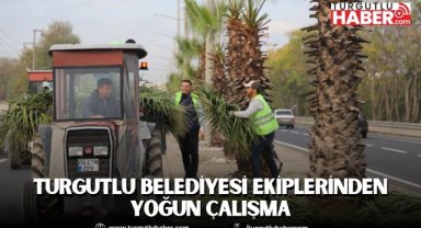 Turgutlu’da Park ve Bahçeler Müdürlüğünden Eş Zamanlı Çalışmalar