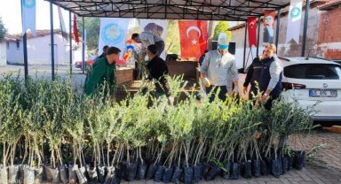 Manisa Büyükşehir’den Doğal Afet Mağduru Üreticilere Fidan Desteği