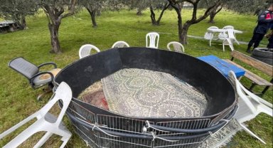 Manisa’da horoz dövüşü operasyonu