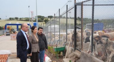 Turgutlu Belediyesinden Sahipsiz Dostlar İçin Anlamlı Kampanya