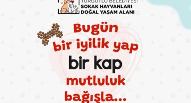 Turgutlu Belediyesinden sokak hayvanları için bağış çağrısı