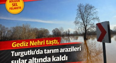 Gediz Nehri taştı, Turgutlu’da tarım arazileri sular altında kaldı