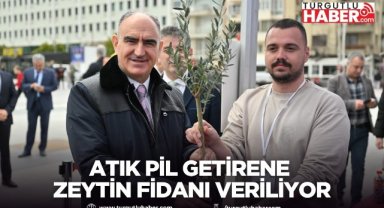 Atık Pil Getirene Zeytin Fidanı Veriliyor