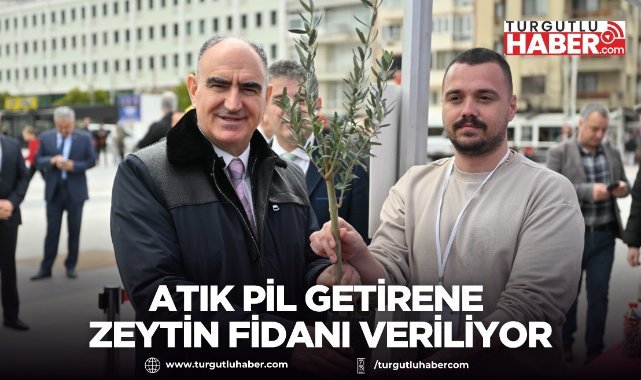 Atık Pil Getirene Zeytin Fidanı Veriliyor