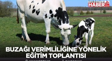 Buzağı Kayıplarının Azaltılması ve Üreme Verimliliğine Yönelik Eğitim Toplantısı