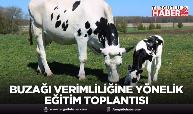 Buzağı Kayıplarının Azaltılması ve Üreme Verimliliğine Yönelik Eğitim Toplantısı
